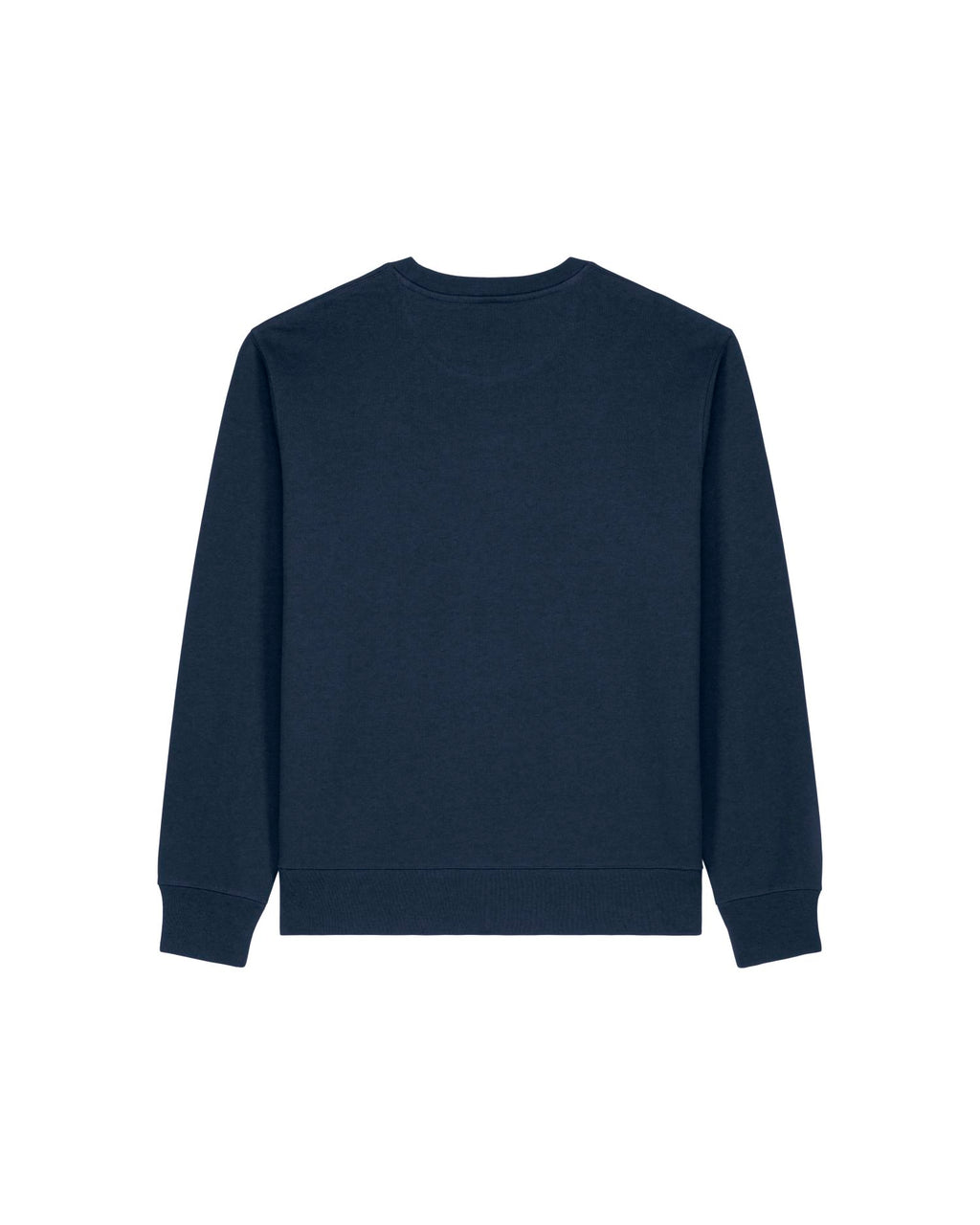 French navy