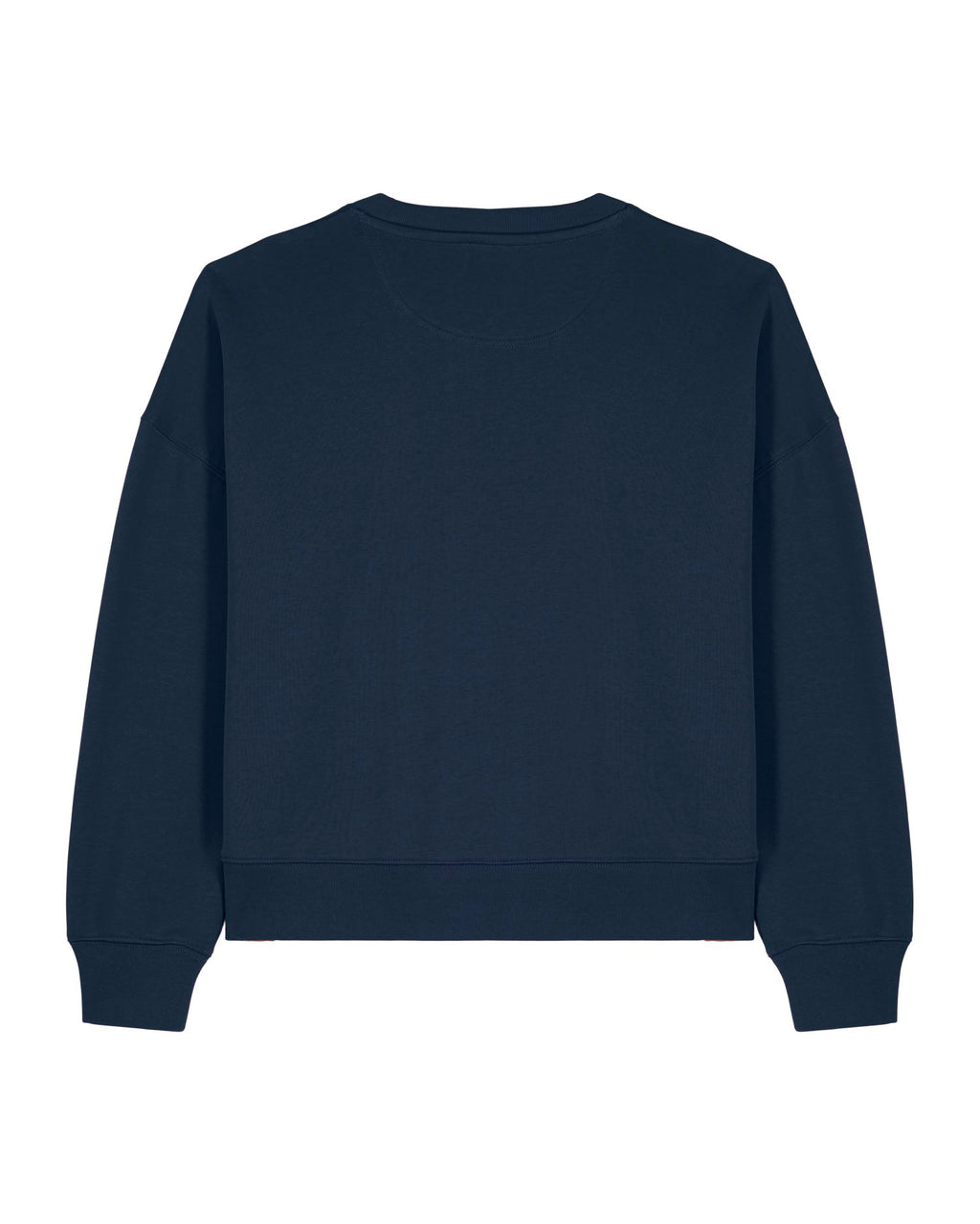 French navy