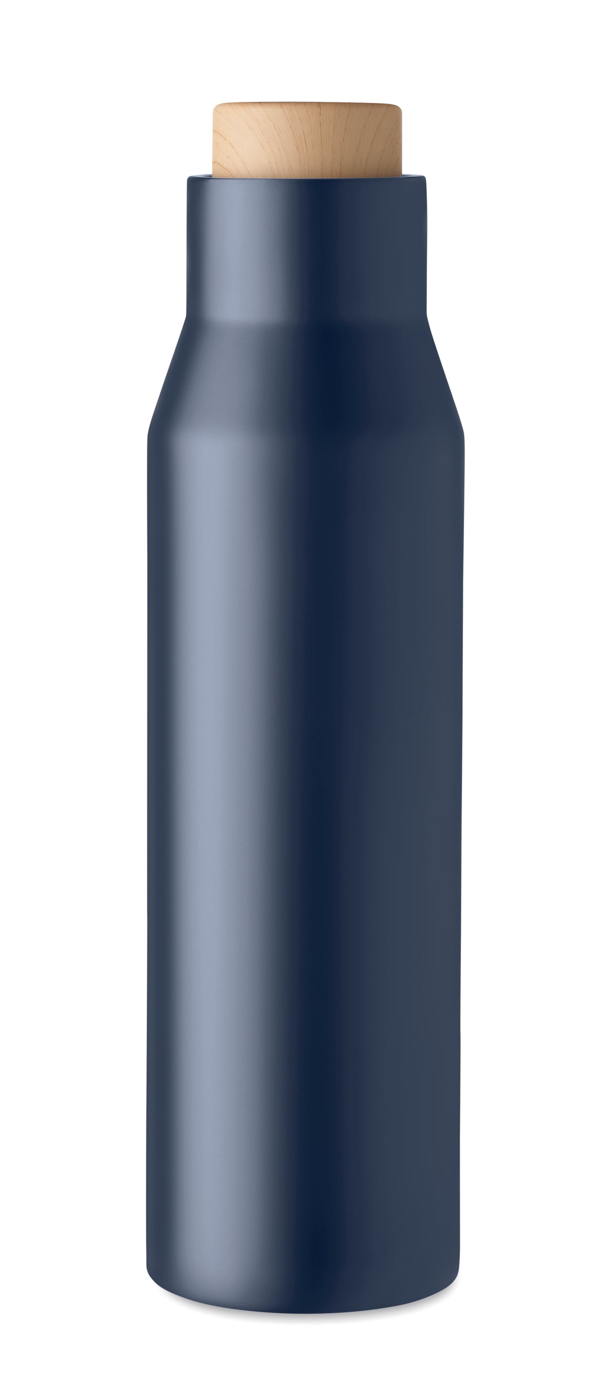 French navy